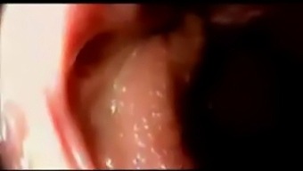 Ejaculate Inside The Vagina Part Of A Female Organ.