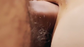 Close Up View Of Doggystyle Sex