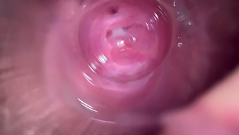 Deep Exploration Of A Young Girl'S Wet And Creamy Pussy